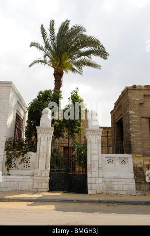 palm tree growing within an old tomb near souk goma (friday market), street market, Southern Cemeteries, Khalifa district ,cairo Stock Photo