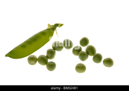 Peas with unopened pea pod and developing seeds Stock Photo