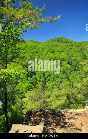 Roaring Run Falls Trail Overlook, Roaring Run Recreational Area, Eagle Rock, Virginia Stock Photo