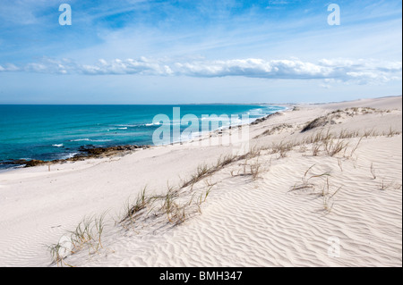 De Hoop Nature Reserve Western Cape South Africa Stock Photo