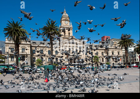 The Town Hall a large Edwardian building from 1095 and Grand Parade in Cape Town South Africa Stock Photo