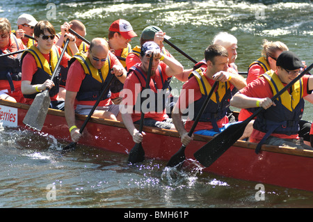 Dragon boat racing, River Avon, Warwick, UK Stock Photo