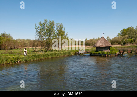 Fly fishing on the River Test, Hampshire, England Stock Photo