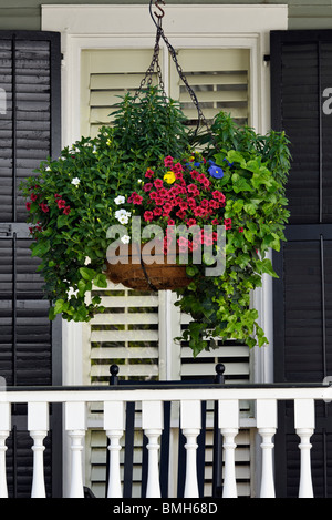 Hanging Basket of Flowers on Porch of Home in Charleston, South Carolina Stock Photo