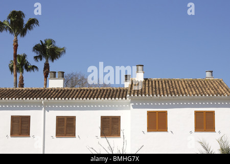mediterranean white house outdoor detail blue sky palm trees Stock Photo