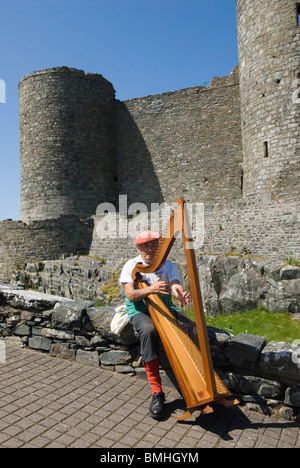 Welsh harp player Harlech Castle. Gwynedd North Wales UK. HOMER SYKES Stock Photo