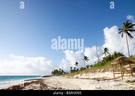 A beautiful windswept, but sunny beach with a grass hut and palm trees on Hope Town, Elbow Cay in the Abacos, Bahamas. Stock Photo