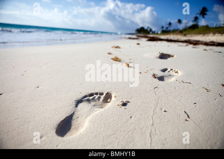 Footsteps in the sand walking down the pristine, white sand beach on Elbow Cay in the Bahamas. Stock Photo