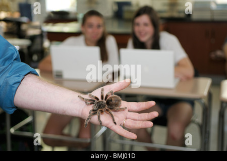 Teacher holding tarantula with students looking on Stock Photo