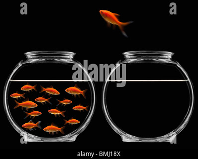 Goldfish jumping out of bowl Stock Photo