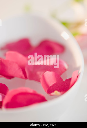 Bowl of pink rose petals Stock Photo