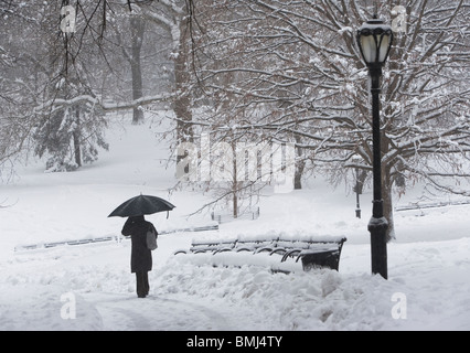 Person walking in snowy park