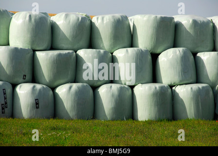 silage fodder bales on a farm Stock Photo