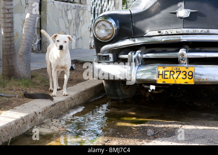 Life in Cuba. Stock Photo