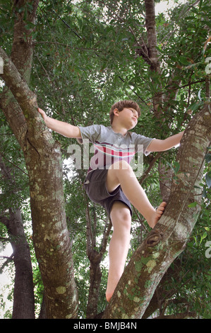 Young boy climbing tree Stock Photo