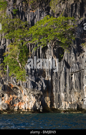 LIMESTONE CLIFFS on a small island near BUSUANGA ISLAND in the CALAMIAN GROUP - PHILIPPINES Stock Photo