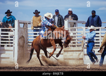 Cowboy on horse during bronc riding event at Tygh Ridge All-Indian Rodeo; Wasco County, central Oregon. Stock Photo