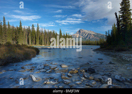 the Athabasca River at Otto's Cache, Jasper National Park, Alberta, Canada Stock Photo