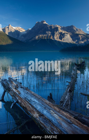 Emerald Lake at dawn with the peaks of the President Range beyond, Yoho National Park, British Columbia, Canada Stock Photo