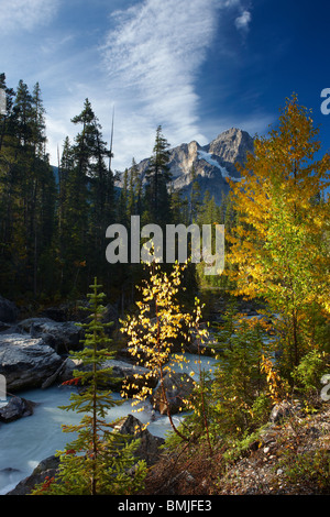 Meeting of the Waters;Yoho & Kicking Horse with Cathedral Crags above, Yoho National Park, British Columbia, Canada Stock Photo