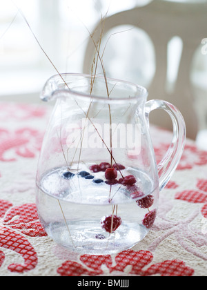 Scandinavia, Sweden, Stockholm, Berry fruits in jar of water, close-up