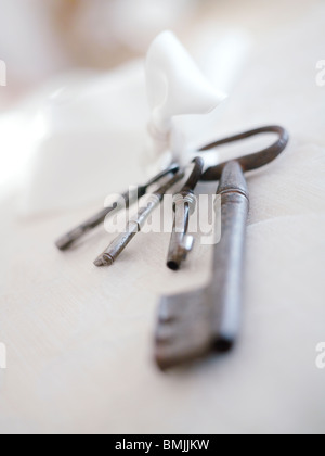 Scandinavia, Sweden, Sodermanland, Mariefred, Bunch of keys, close-up Stock Photo