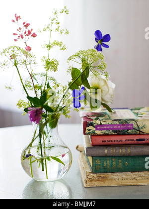 Scandinavia, Sweden, Smaland, Stack of books beside flower vase on table Stock Photo