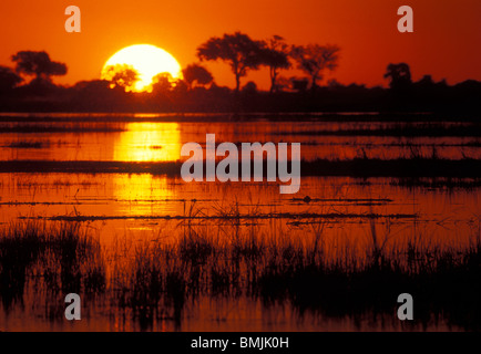 Africa, Botswana, Chobe National Park, Setting sun over lush banks of Chobe River near village of Kasane Stock Photo