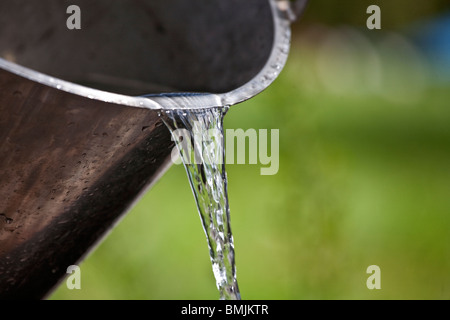Scandinavian Peninsula, Sweden, Varmland , View of water being poured from bucket close-up Stock Photo
