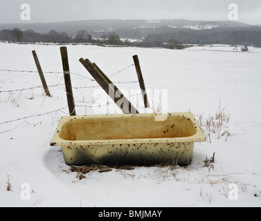 Scandinavia, Sweden, Vastergotland, Old bathtub in snow Stock Photo