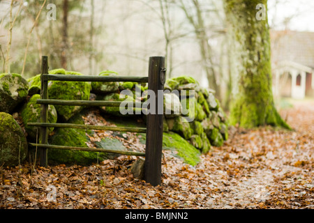 Scandinavian Peninsula, Sweden, Skane, View of moss covered stone and fence with cottage in background Stock Photo