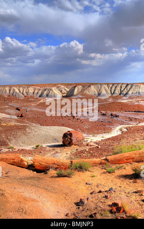 Petrified forest national park with a storm building in Northern Arizona USA Stock Photo