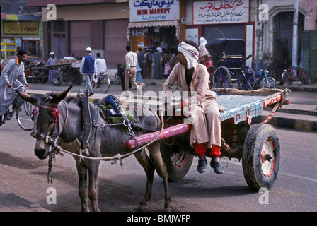 A young Egyptian man sits on his donkey-pulled cart in a street near a market in Luxor, Egypt Stock Photo