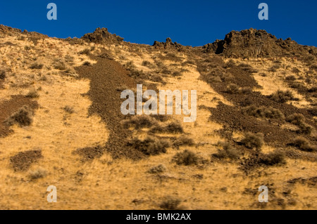 Desert scene near Vantage, Eastern Washington Stock Photo