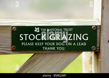 National Trust sign advising of stock grazing and to keep dogs on a lead England UK Stock Photo