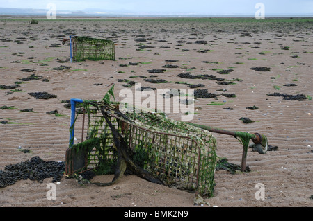 Supermarket trolleys washed up on the shore of the Firth of Forth at Musselburgh near Edinburgh. Stock Photo