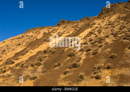 Desert scene near Vantage, Eastern Washington Stock Photo