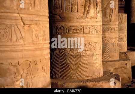 Bas-reliefs on the columns of outer hypostyle hall of the Temple of Sobek and Haroeris, Kom Ombo, Aswan, Egypt Stock Photo
