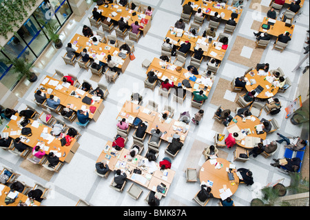 Overhead view of students sitting at desks studying in Shanghai Library, Shanghai, China Stock Photo