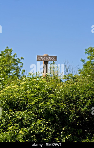 Car park sign behind a high hedge at the Bell Inn in the village of Aldworth, Berkshire UK Stock Photo