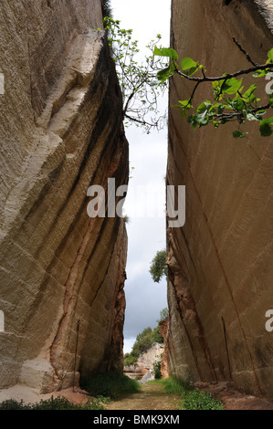 Abandoned old stone quarry, Pedrera de Santa Ponca, Alaior, Menorca, Spain Stock Photo