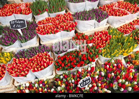 Tulips on sale at the flower market in Amsterdam, Holland. Stock Photo