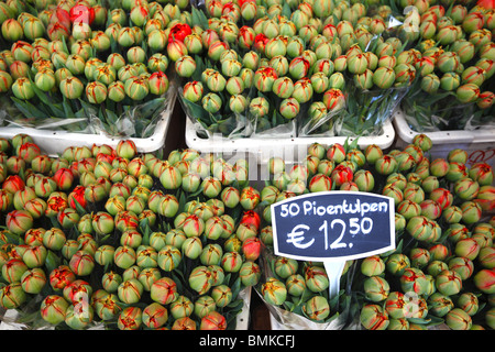 Tulips on sale at the flower market in Amsterdam, Holland. Stock Photo