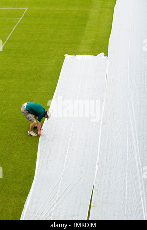 Groundsman at All England Tennis Club, Wimbledon SW19, applying plastic sheets to a seeded lawn tennis Court. UK. Stock Photo