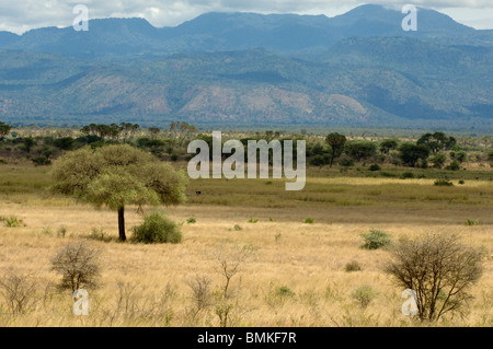 Africa, Kenya, a view of Meru National Park Stock Photo