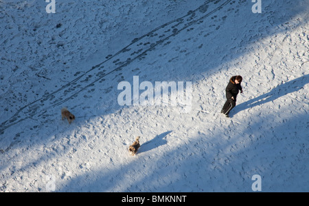A woman taking a walk with two dogs on snow , Finland Stock Photo