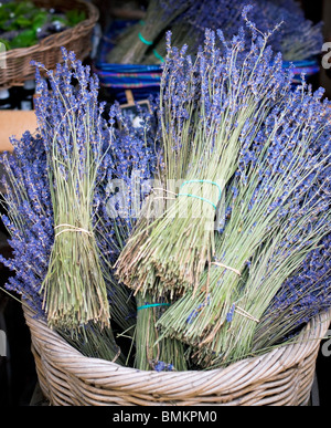 Dry Lavender Bunches in busket for Sale at street market Stock Photo