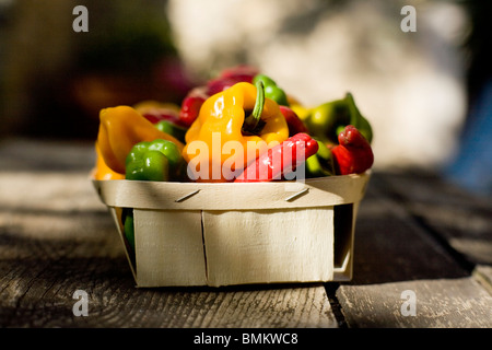 A basket of fresh romano sweet peppers grown in the Provence, south of France. Stock Photo