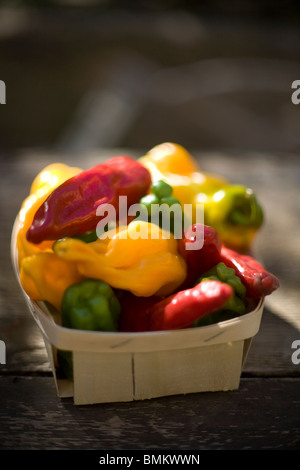 A basket of fresh romano sweet peppers grown in the Provence, south of France. Stock Photo