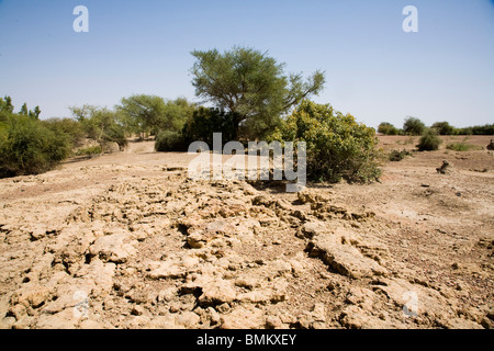 Mali, Djenne, Djenne-Djeno Archaeological Site Stock Photo